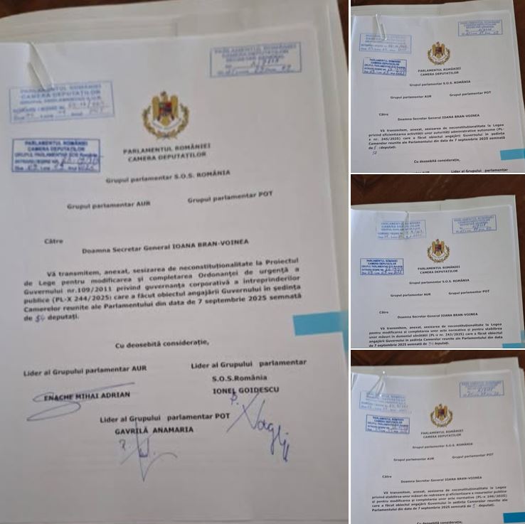 Partidul S.O.S. România atacă la Curtea Constituțională cele patru pachete de măsuri ale guvernului Bolojan