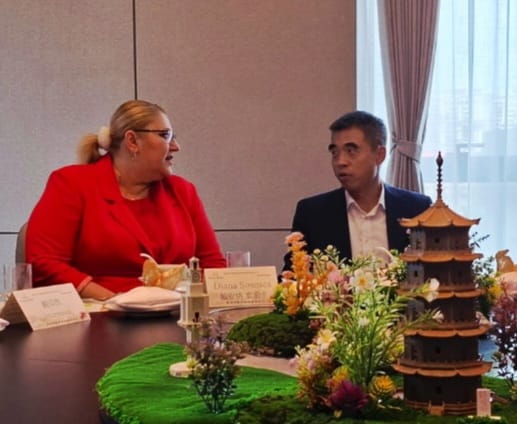 România – liantul şi catalizatorul relațiilor diplomatice, culturale şi economice dintre China şi Europa